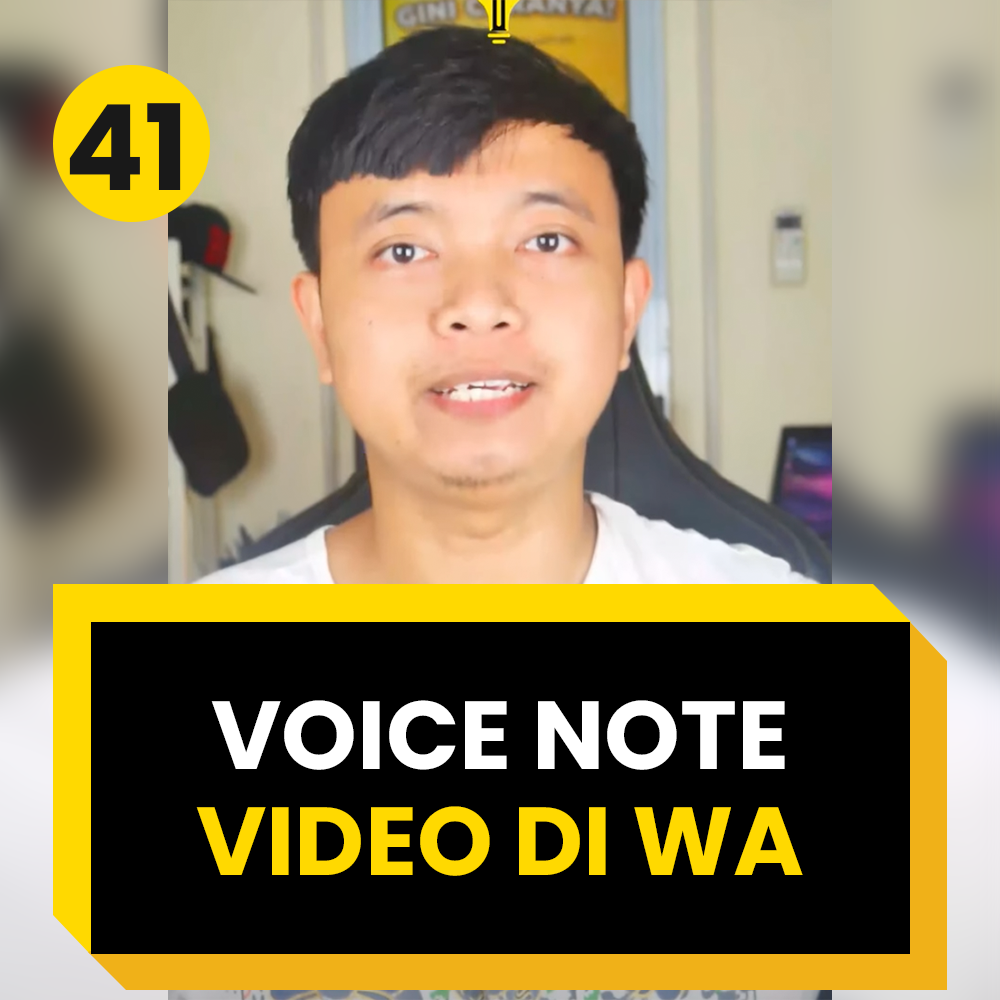 41